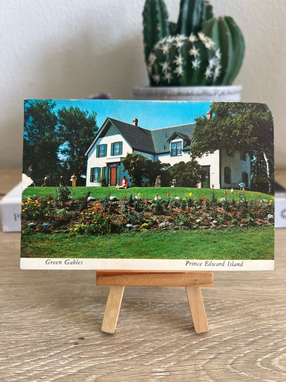 Vintage Green Gables Prince Edward Island Anne of Green Gables Postcard